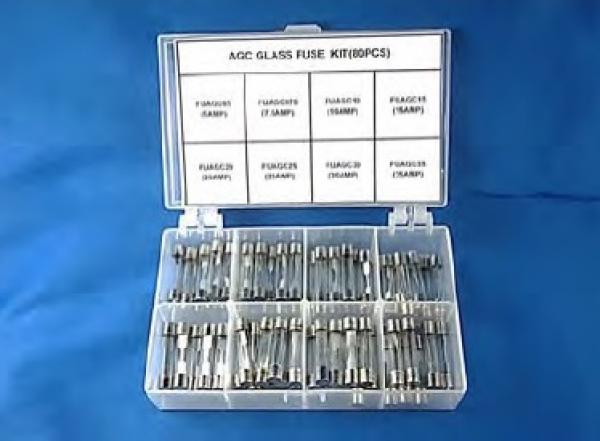 80pcs AGC(3AG) Glass Fuse